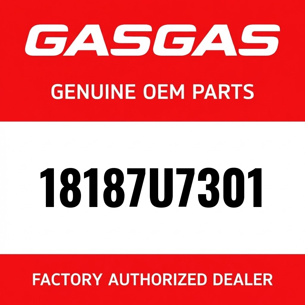 Shock absorber 250/300 XC 2021 image 1