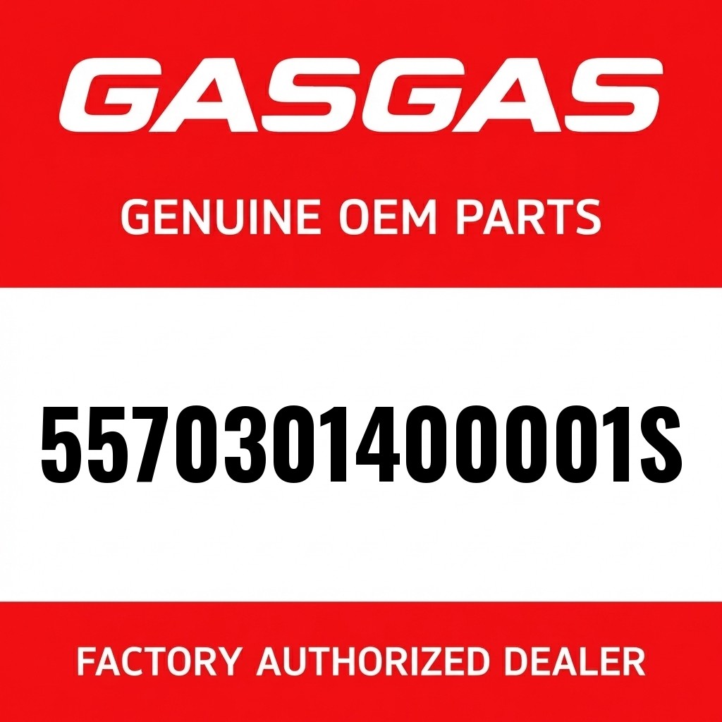 Engine brace, right 250/300 TP image 1