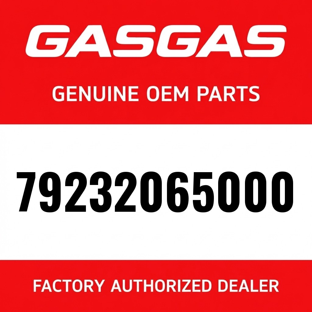 GASKET FOR OUTPUT CYLINDER image 1