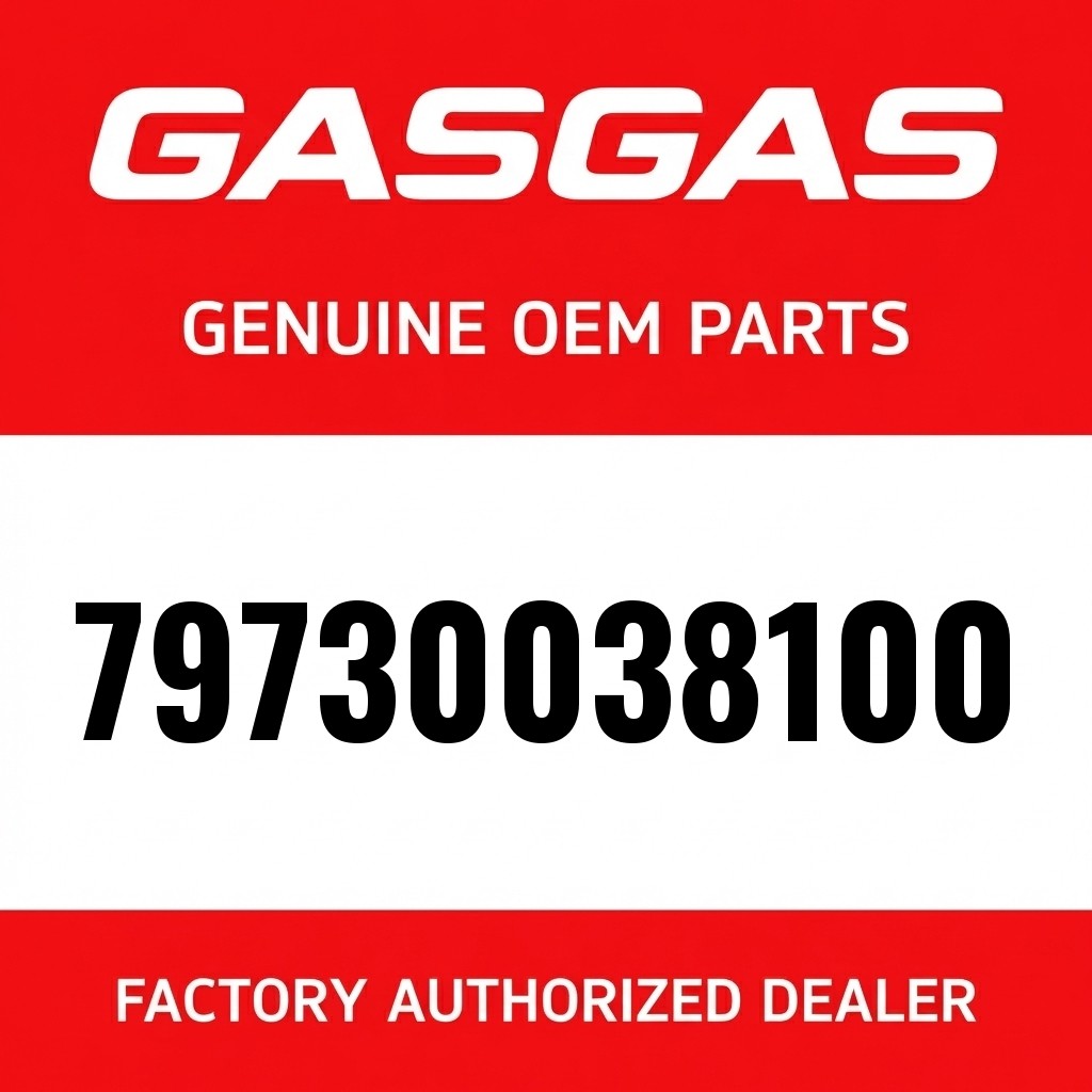 Cylinder & Piston cpl. image 1