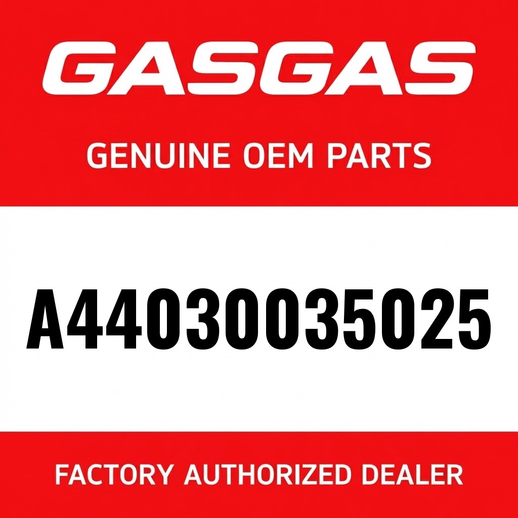 Cylinder base gasket image 1