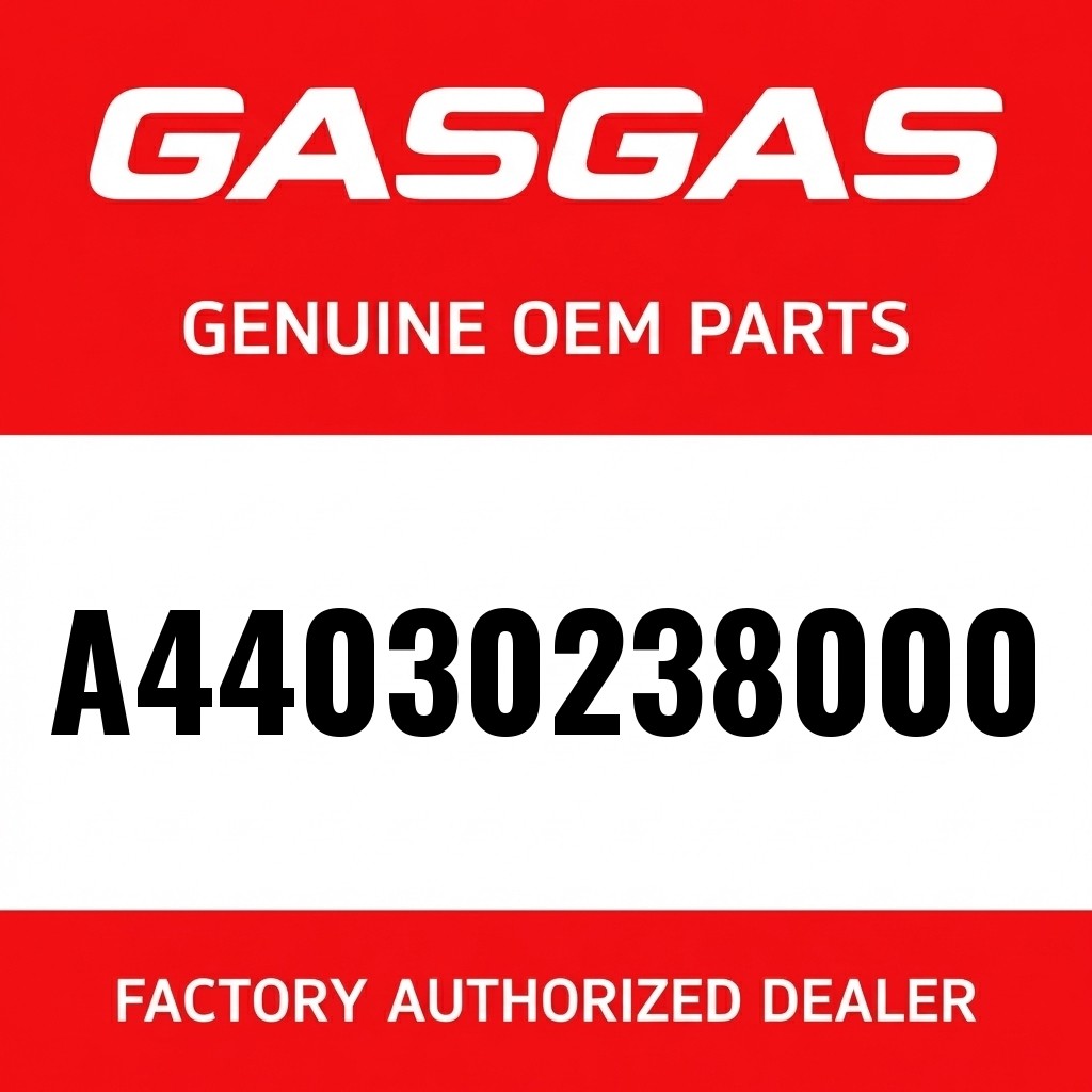 Cylinder + Piston MX 250 2023 image 1