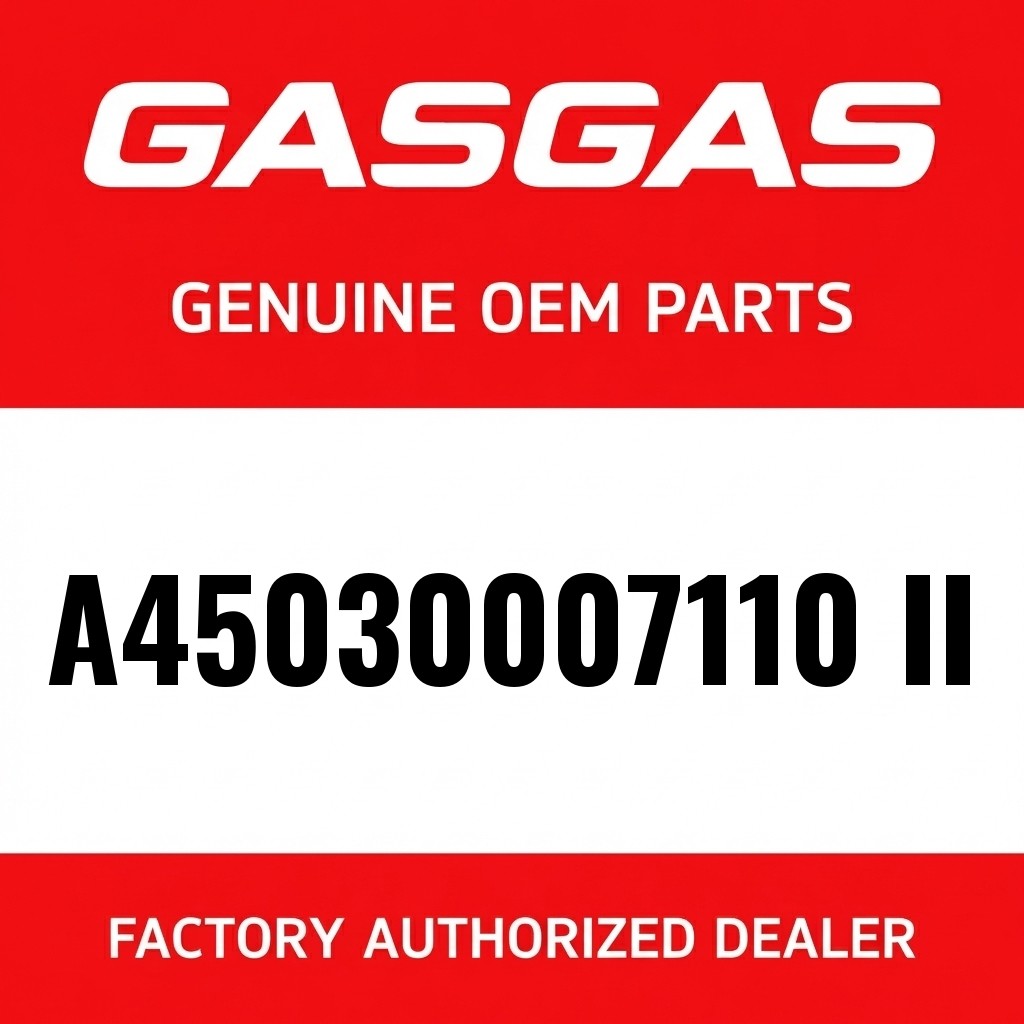 Piston kit Gr. II MX 300 2025 image 1