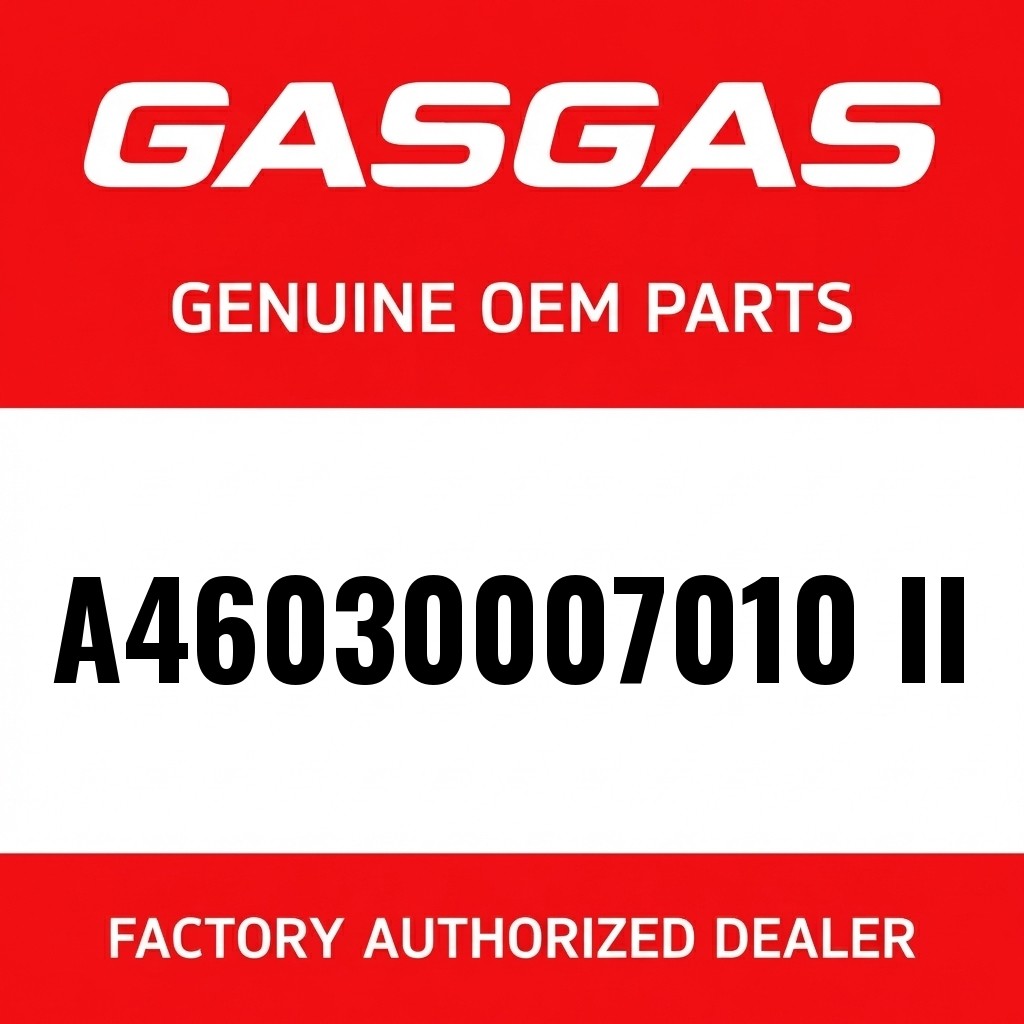 Piston kit gr. II MX 250 image 1