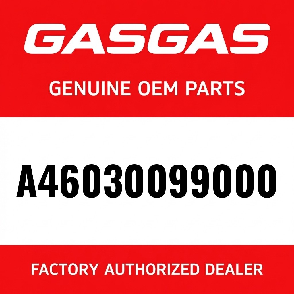 Engine seal kit 250cc image 1