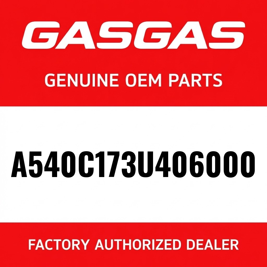 Fork GASGAS EX 300 2021 image 1