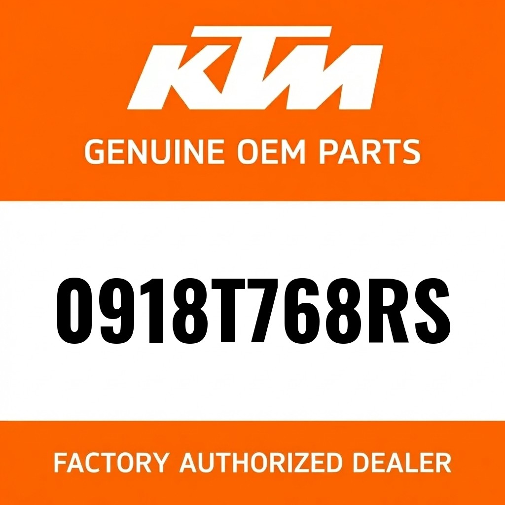 FORK LEG R/S 250/380 SX '99 image 1