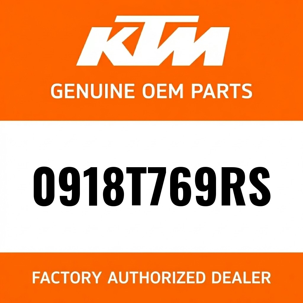 FORK LEG R/S 250-380 EXC '99 image 1