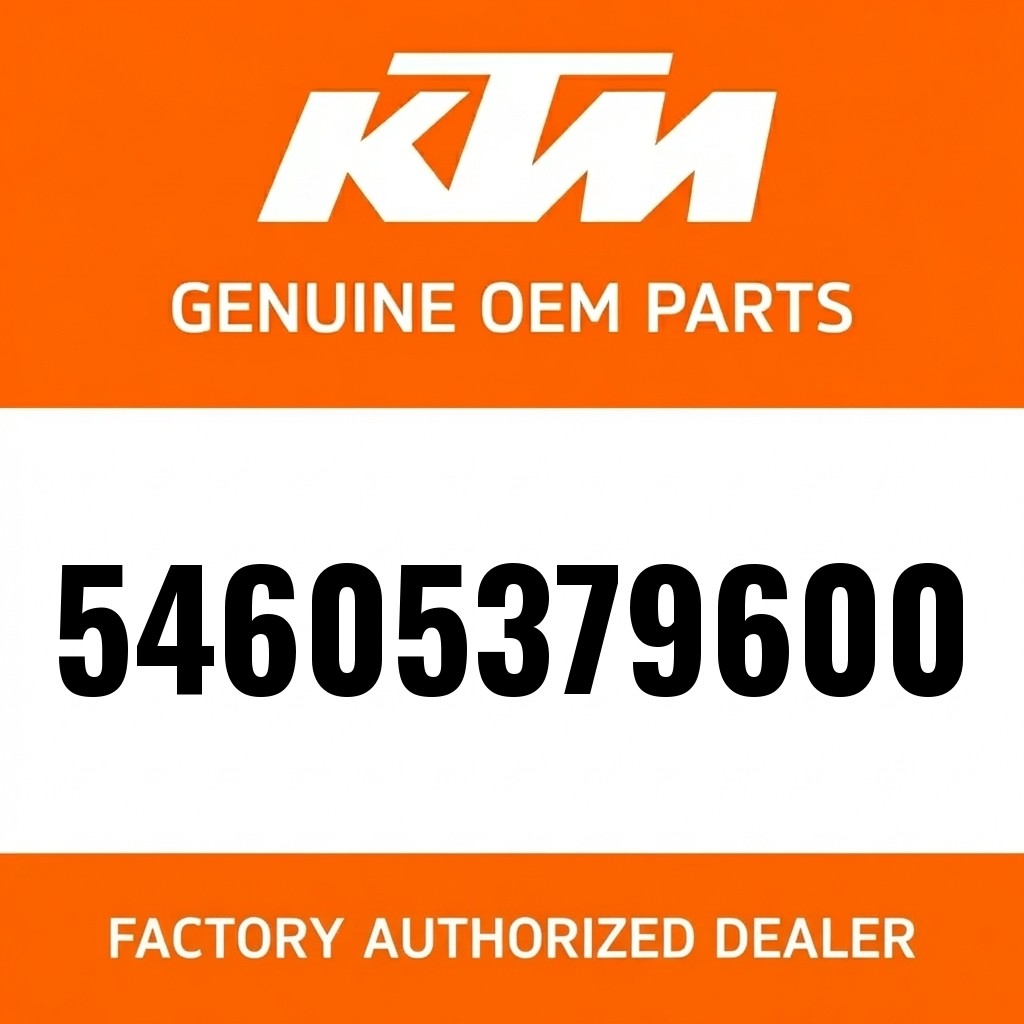 * MAIN SILENCER 250/300 MXC,EX image 1