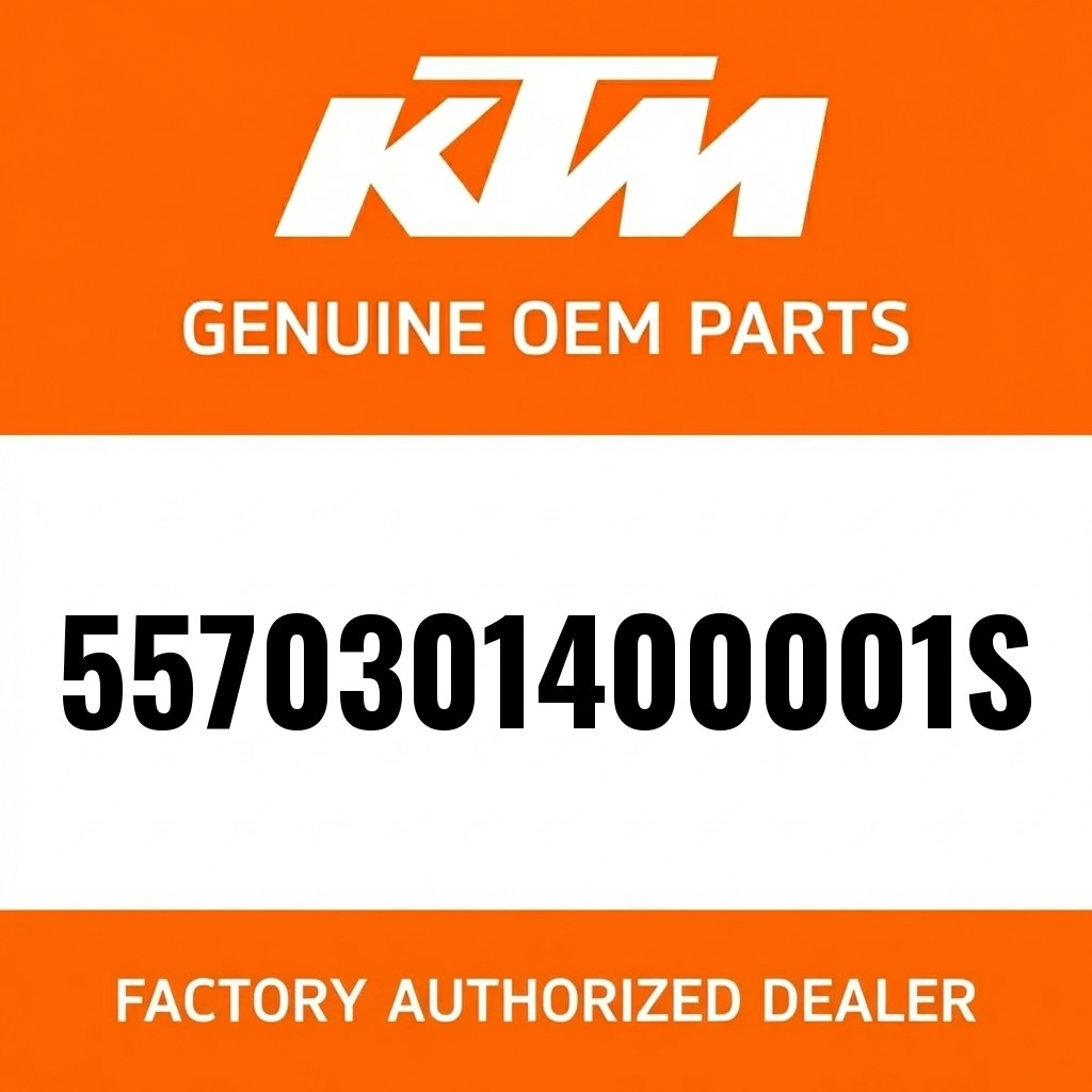 Engine brace, right 250/300 TP image 1