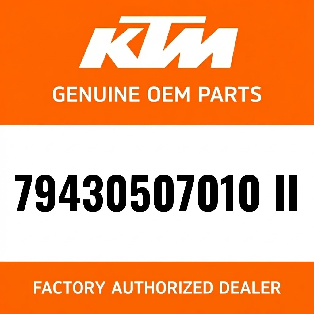 PISTON KIT II 450 EXC-F image 1