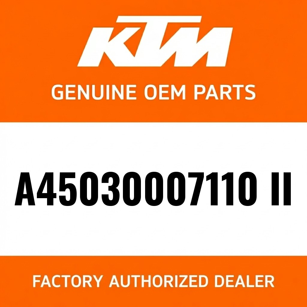 Piston kit Gr. II MX 300 2025 image 1