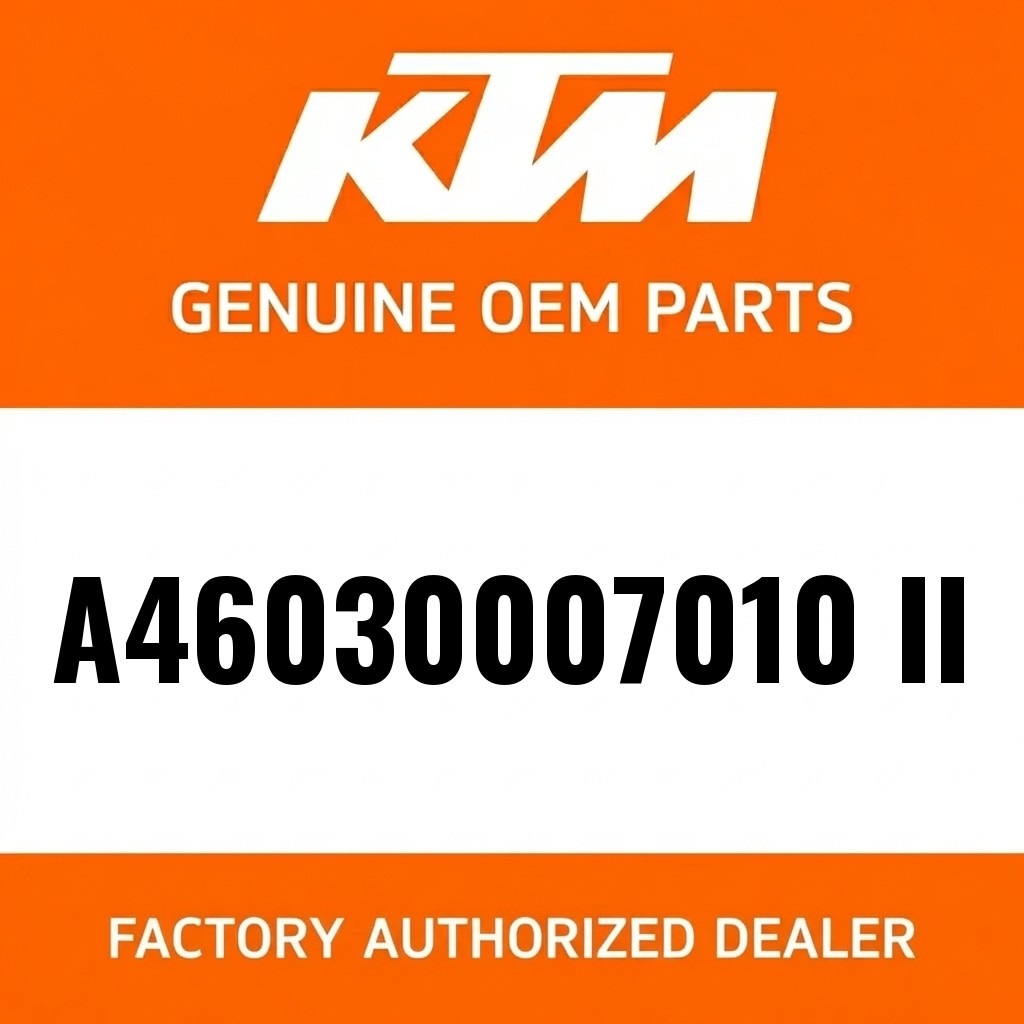 Piston kit gr. II MX 250 image 1