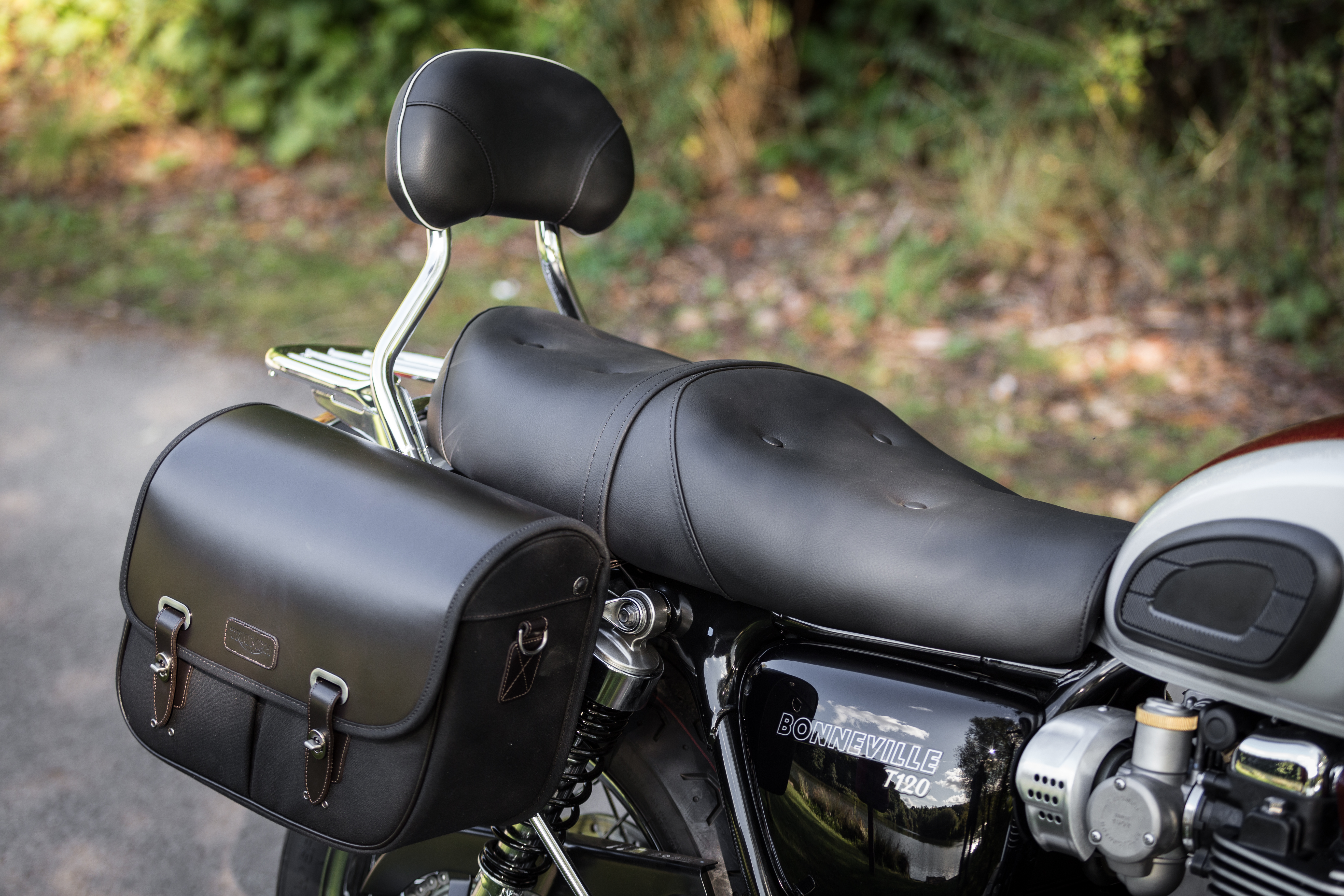 Seat Assembly, Twin, Royal photo 4