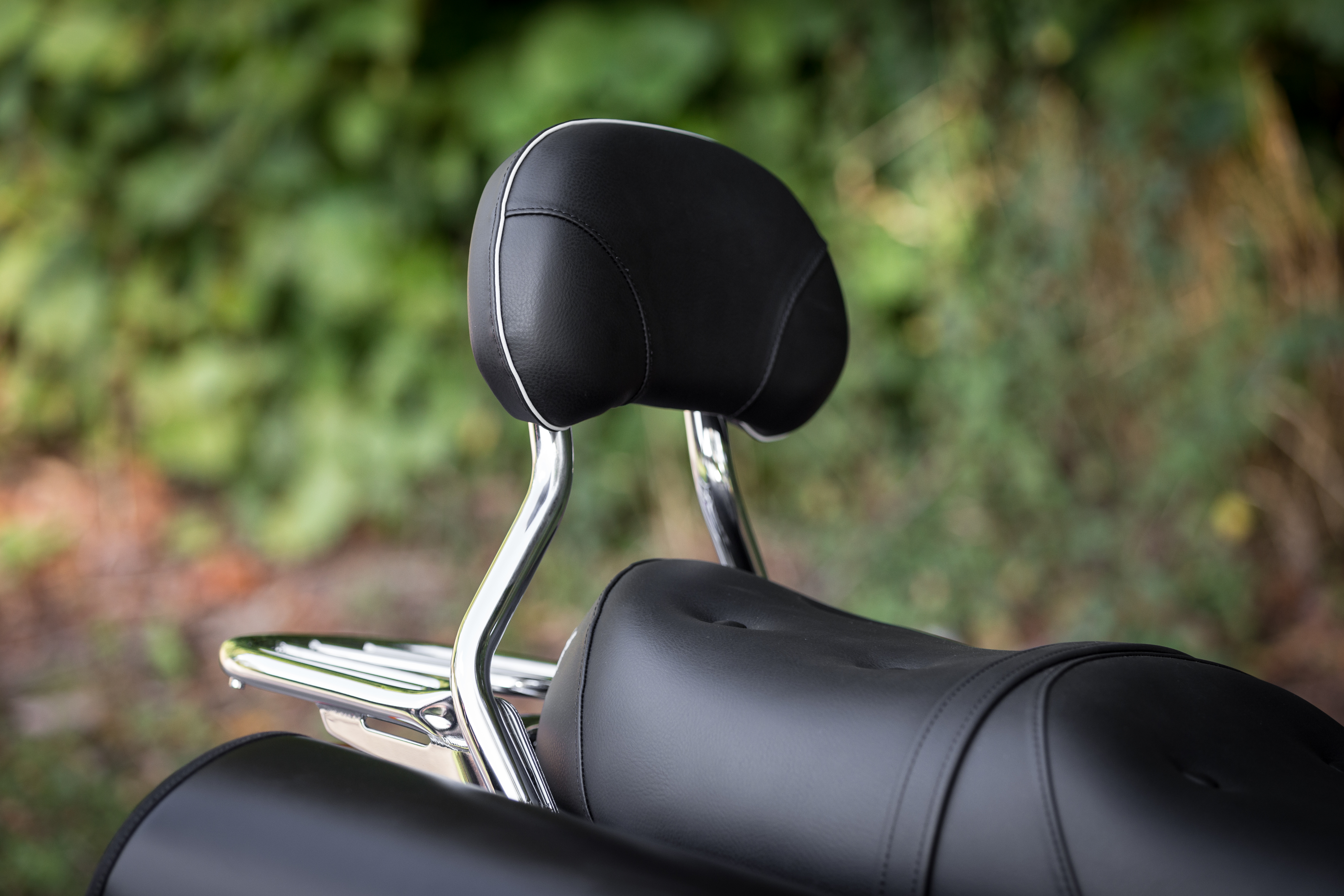 Seat Assembly, Twin, Royal photo 6
