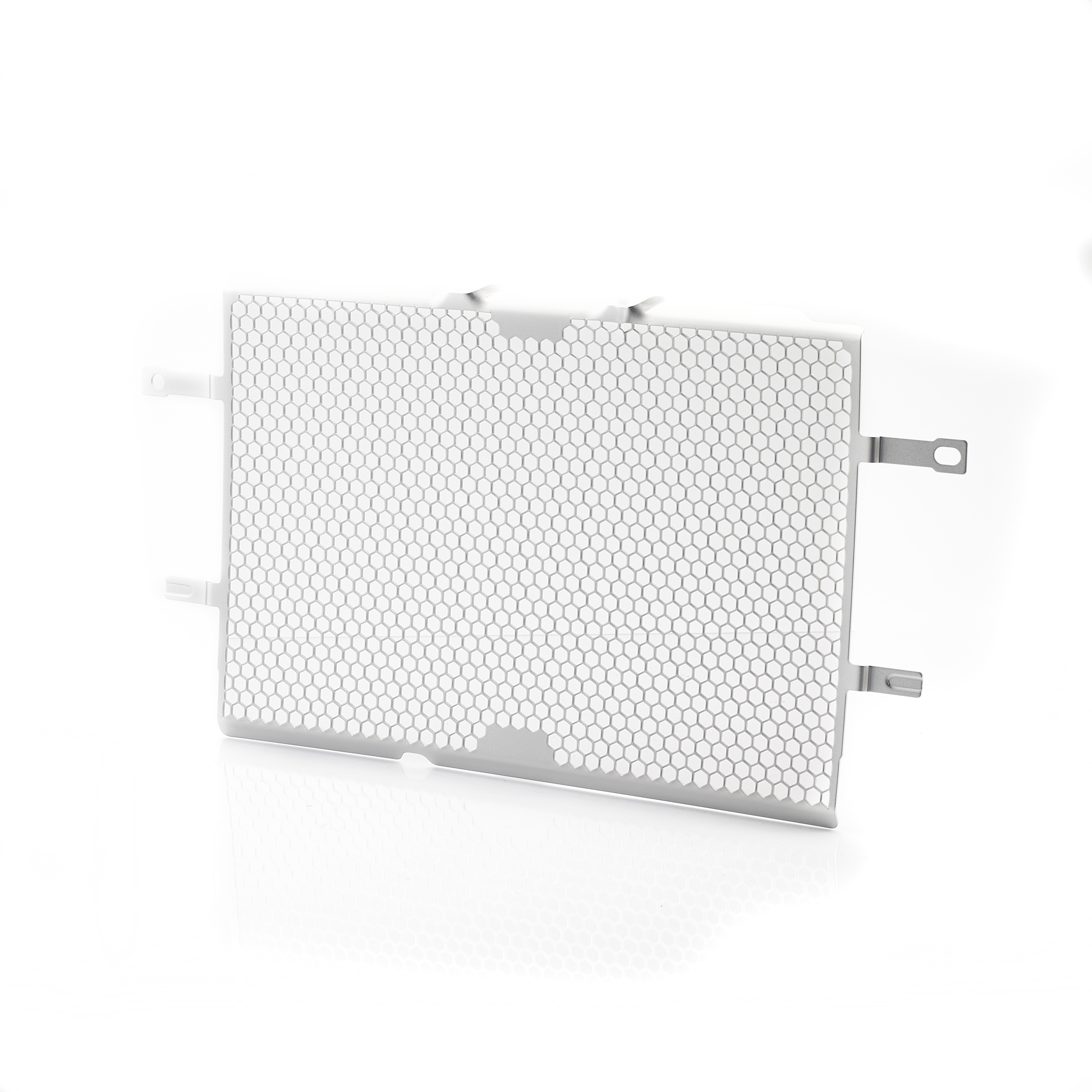 Radiator Guard Kit (Aluminium) photo 1