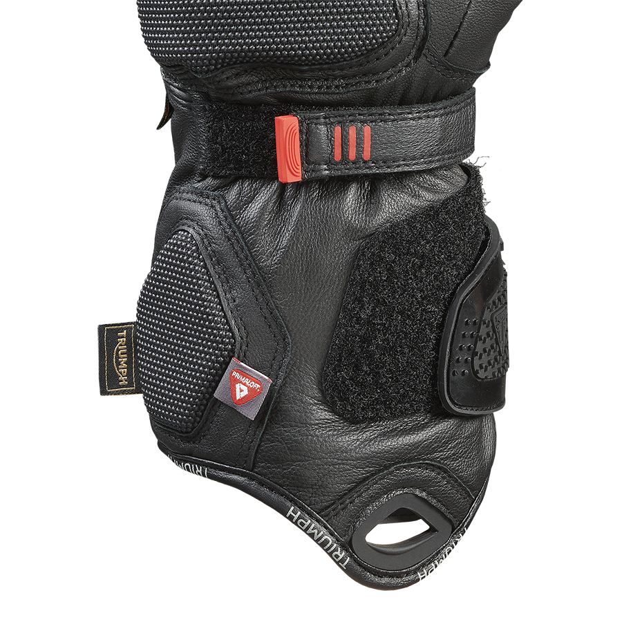 Alder 2 GTX Dual Chamber Glove photo 16