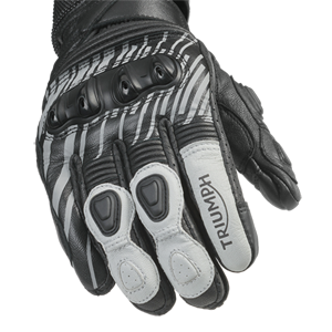 Arena Glove photo 4