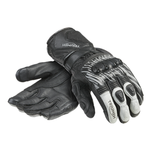 Arena Glove photo 22