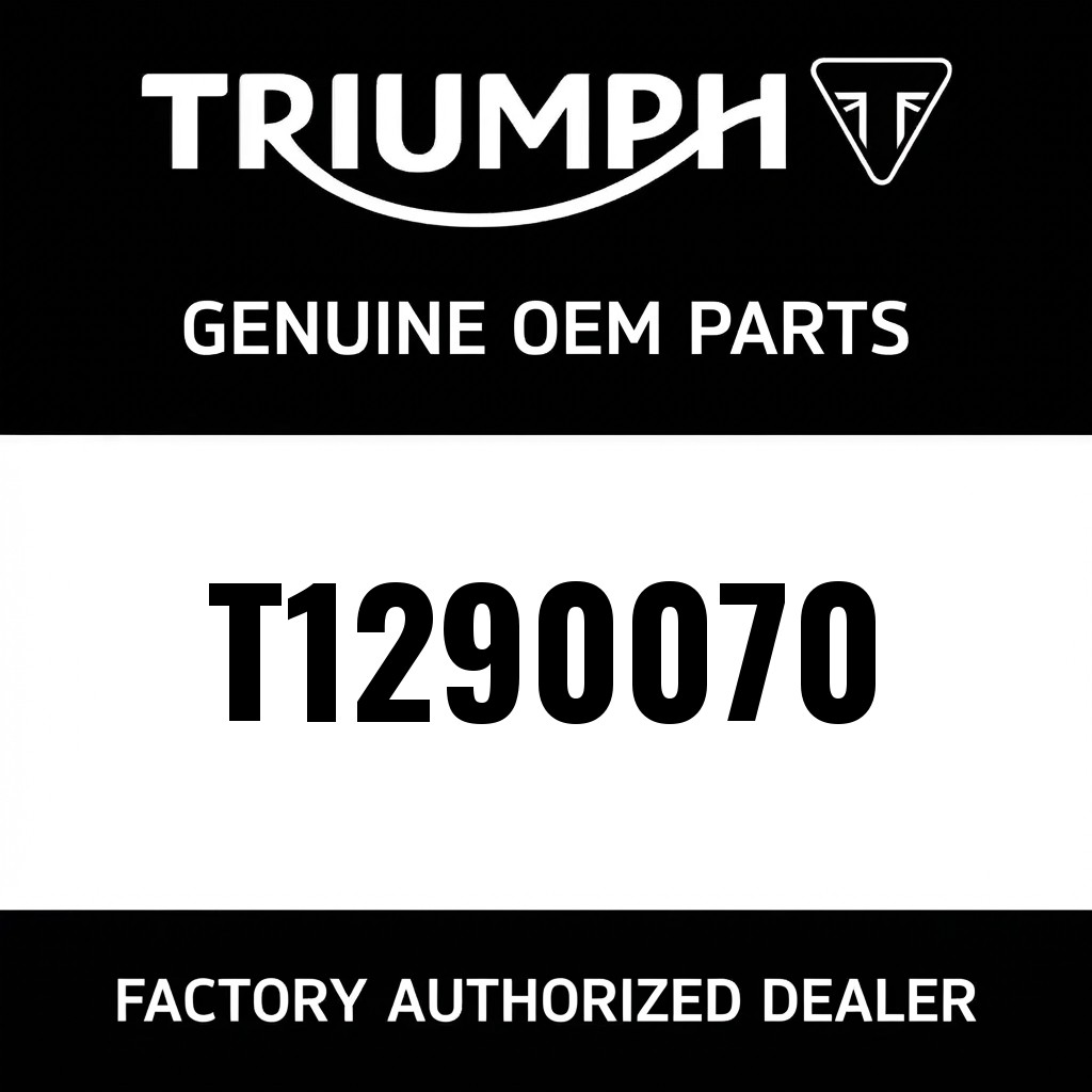 Igniter image 1