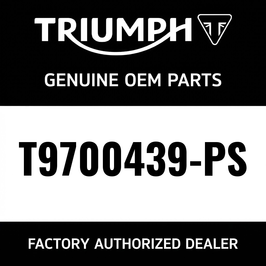 Mudguard, Rear, Acc, Painted image 1