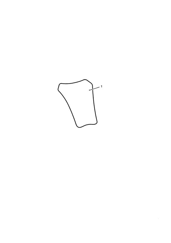 Tank Pad, Carbon