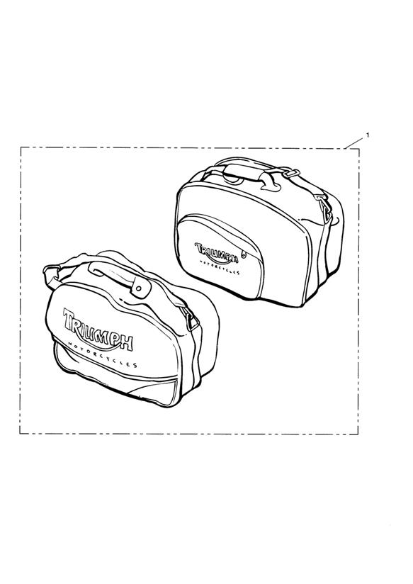 Inner Bags, Panniers