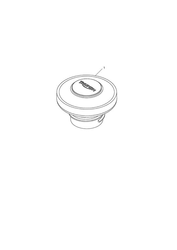 Filler Cap, Fuel, Locking