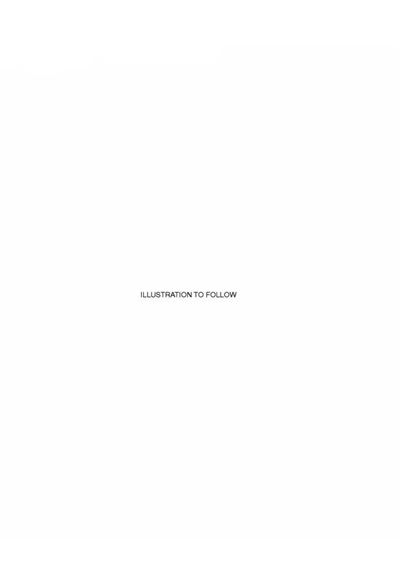 Chrome Line Brake Pedal Finisher