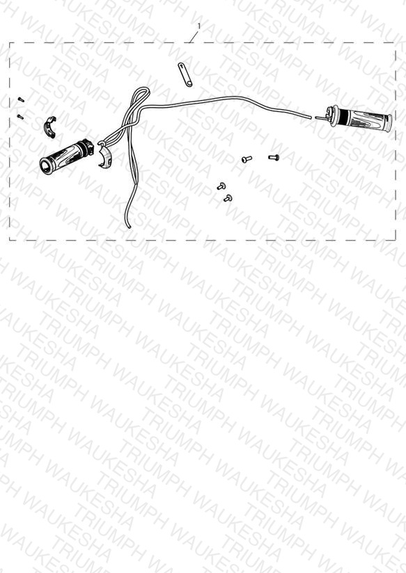 Heated Grip Kit