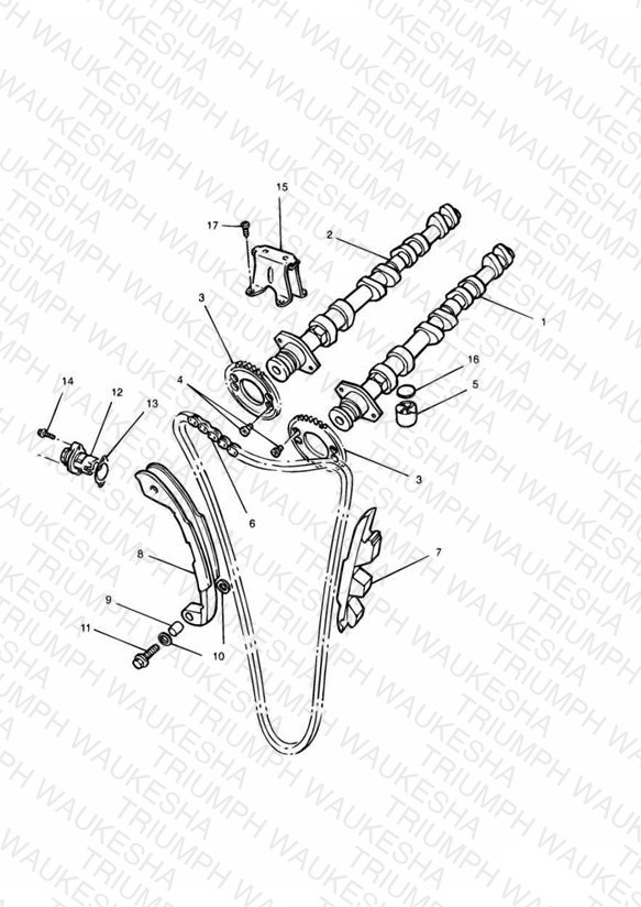 Camshaft and Drive