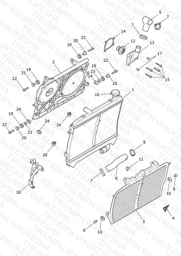 Radiator, Fan & Thermostat