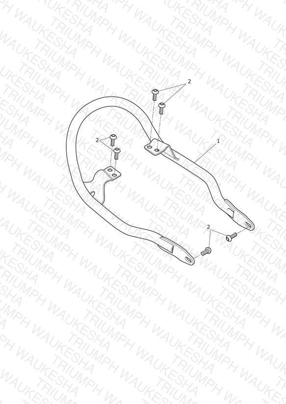 Grab Rail - Bonneville 110th Edition & 606134 > ** See Tech News 149 **