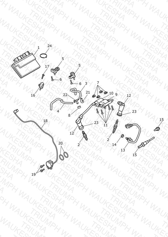 Engine Management System