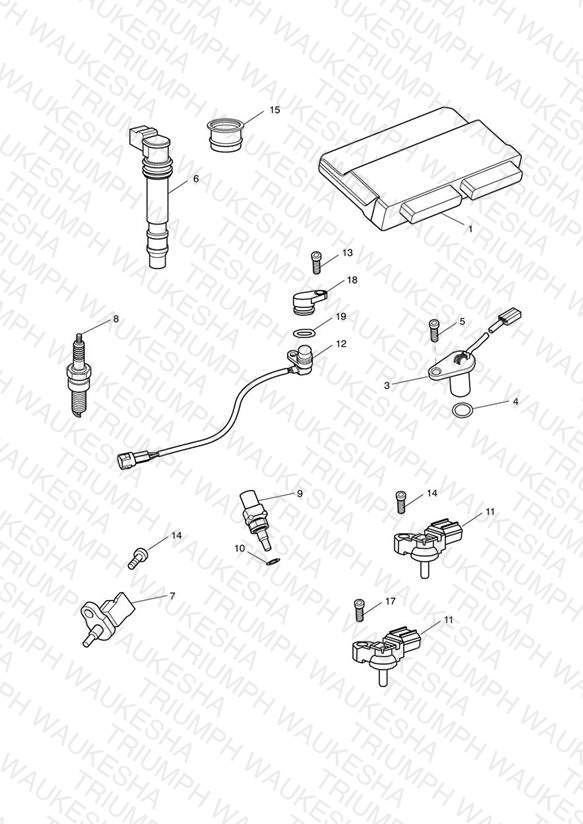 Engine Management System