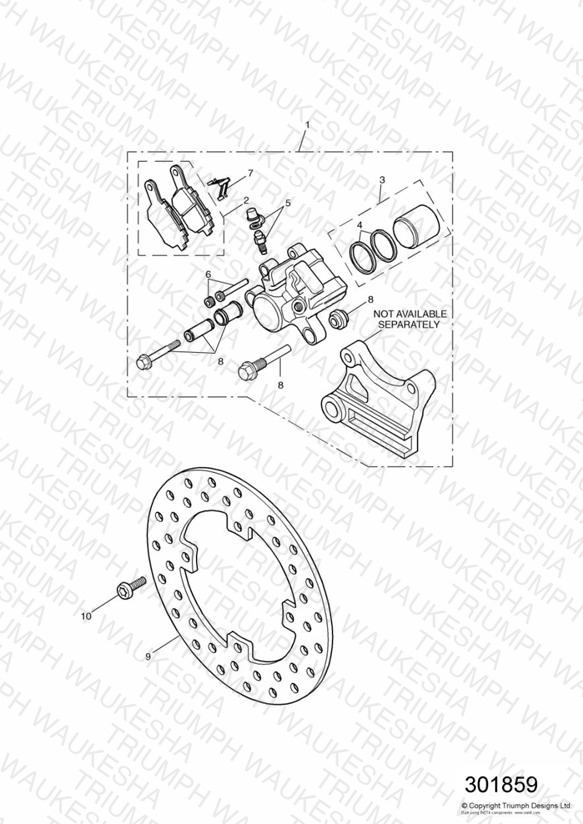 Rear Brake Disc and Caliper