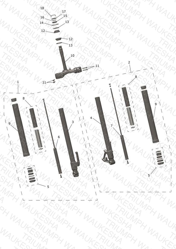 Front Forks & Lower Yoke