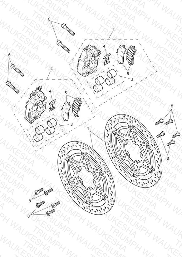 Front Brake Caliper & Discs