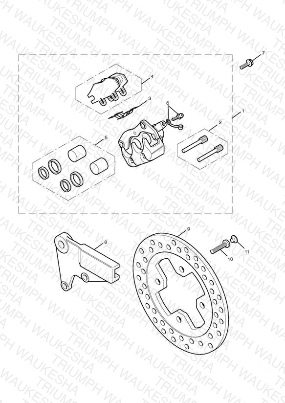Rear Brake Caliper & Disc