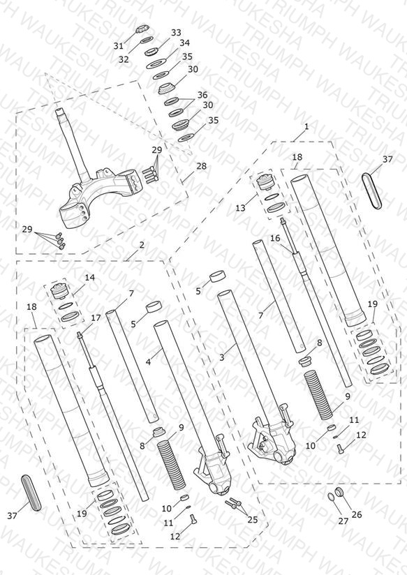 Front Forks & Lower Yoke