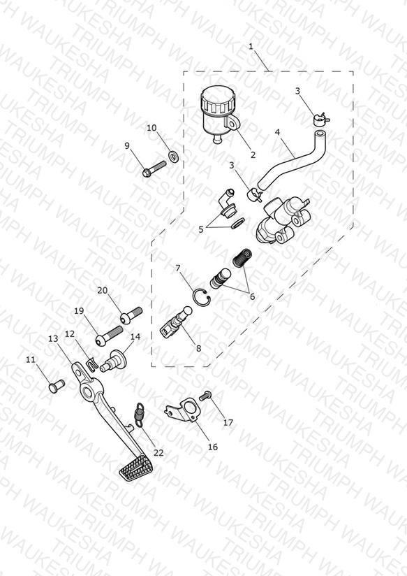Rear Brake Master Cylinder, Reservoir & Pedal