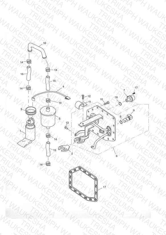Fuel Pump & Filter Eng No 207447 >