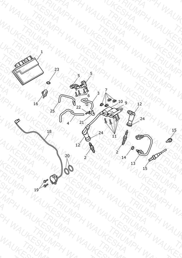 Engine Management System