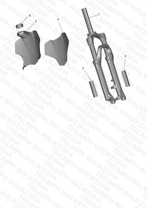 Front Forks & Lower Yoke