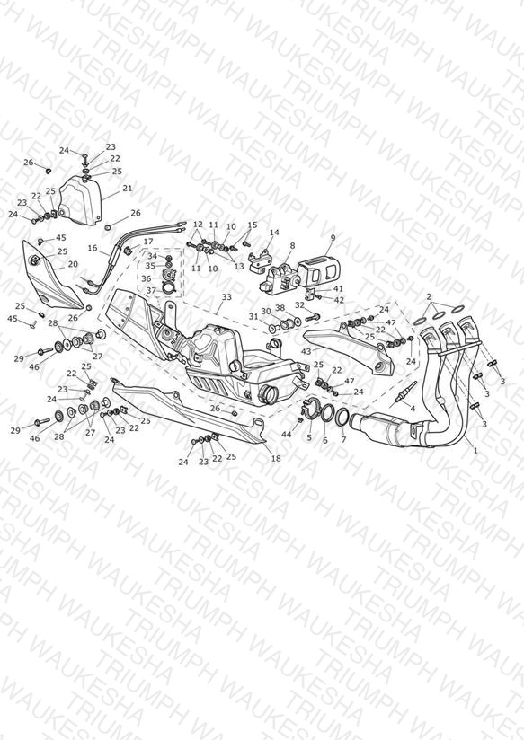 Exhaust System