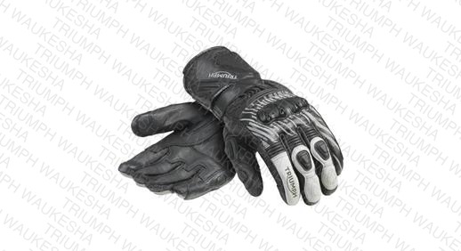 Arena Glove