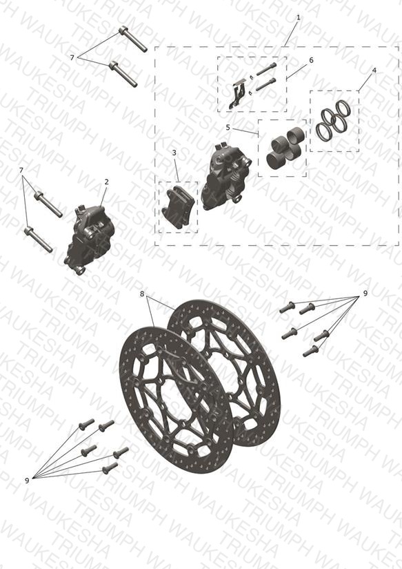 Front Brake Caliper & Discs