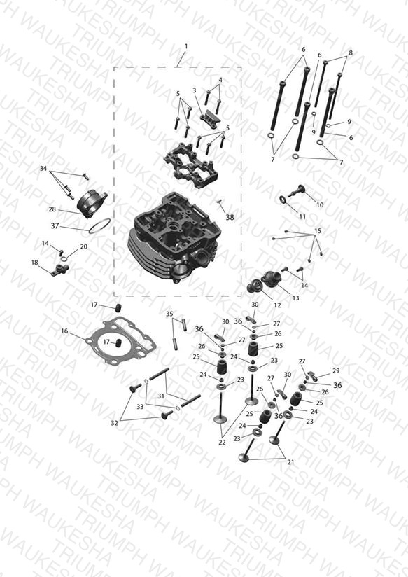 Cylinder Head & Valve Drive
