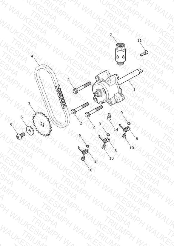 Oil Pump & Drive