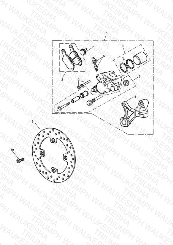 Rear Brake & Disc